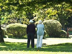 遺言作成サポート